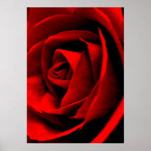 Ro-anslutning Poster