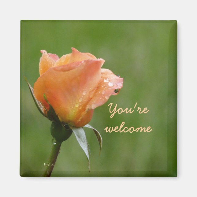 ro är orange magnet (Framsidan)