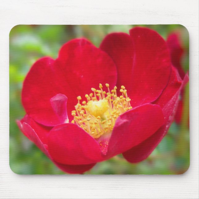 Ro är Red Mousepad Musmatta (Framsidan)