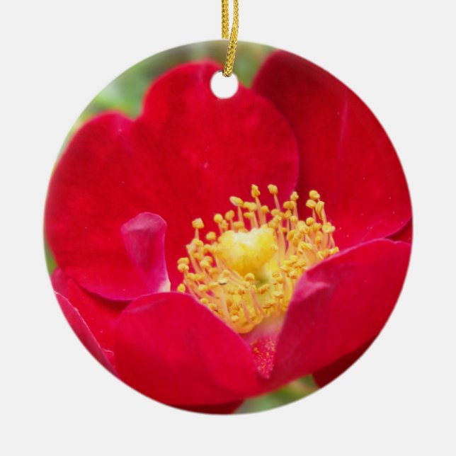 Ro är rödornament julgransprydnad keramik (Framsidan)