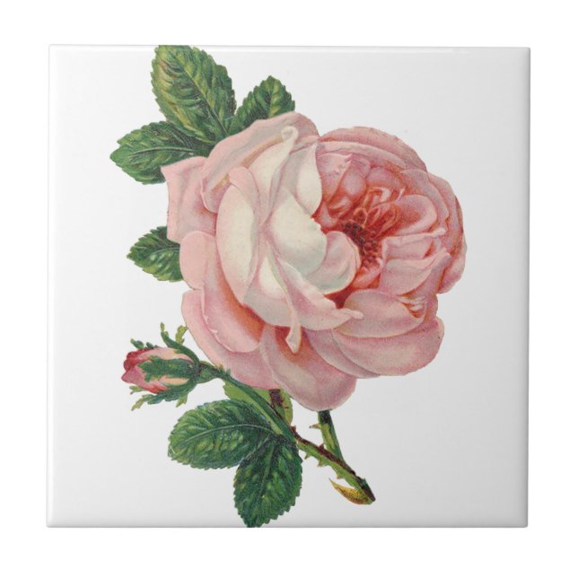 Ro är Rosa Kakelplatta (Framsidan)