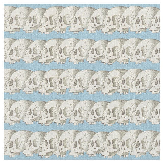 Ro av döskallar tyg (Närbild)