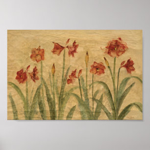 Ro av röd Amaryllis Poster