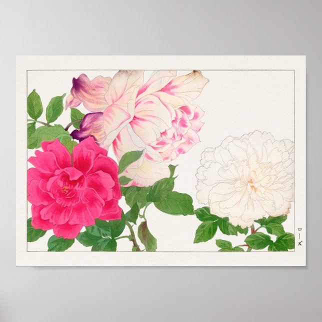 Ro av Tanigami Konan Poster (Framsidan)