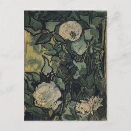 Ro av Vincent Van Gogh Vykort
