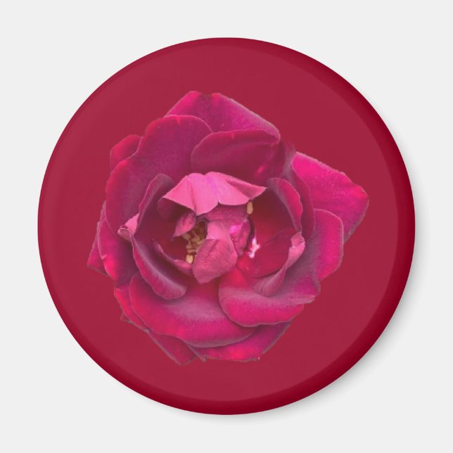 RO B MAGNET (Framsidan)