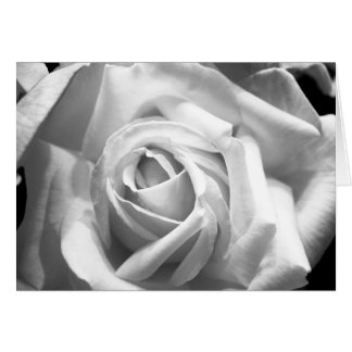 Ro B/W-kort OBS Kort