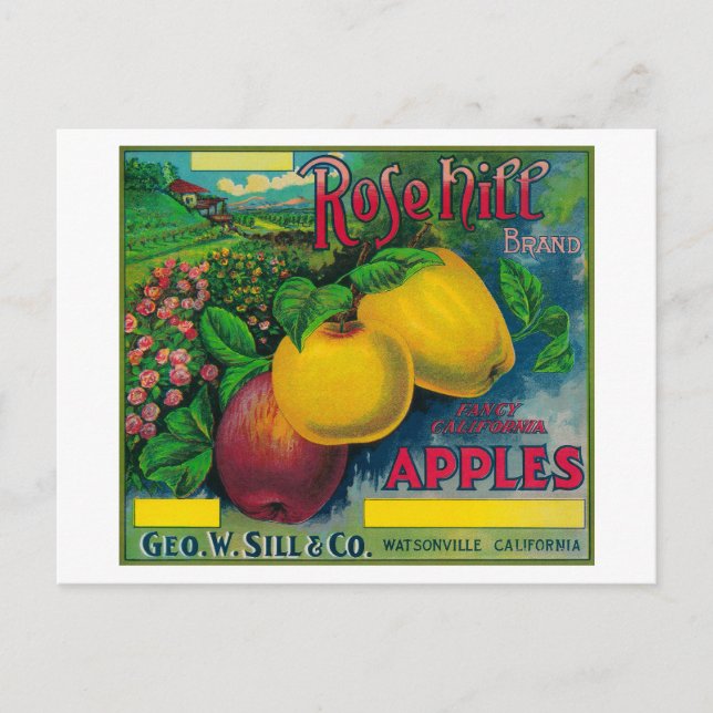 Ro Backe Apple Låda LabelWatsonville, CA Vykort (Framsida)