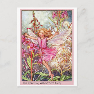 Ro-Bay Wilow-Herb Fairy Vykort