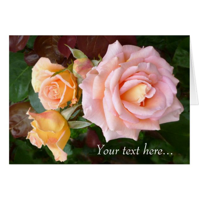 Ro Beauty Hälsningskort (Framsidan Horizontal)