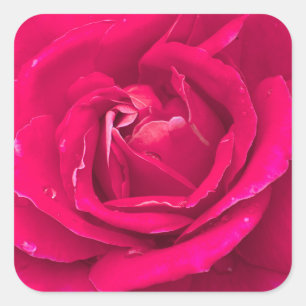 Ro blomma fyrkantigt klistermärke