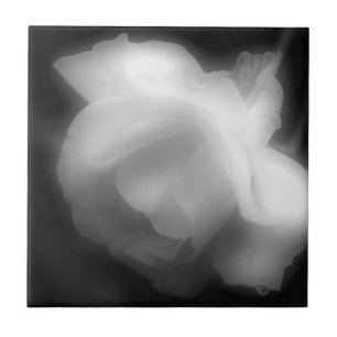 Ro blomma i svartvitt kakelplatta