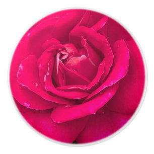 Ro blomma knopp