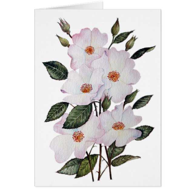 Ro Blommigt "Ballerina" Art Hälsningskort (Framsidan)