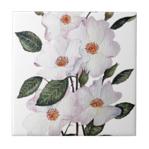 Ro Blommigt "Ballerina" Art Kakelplatta