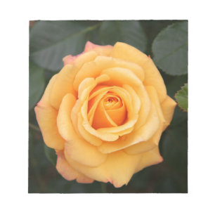 ro blommor, kärlek, maka, raring anteckningsblock
