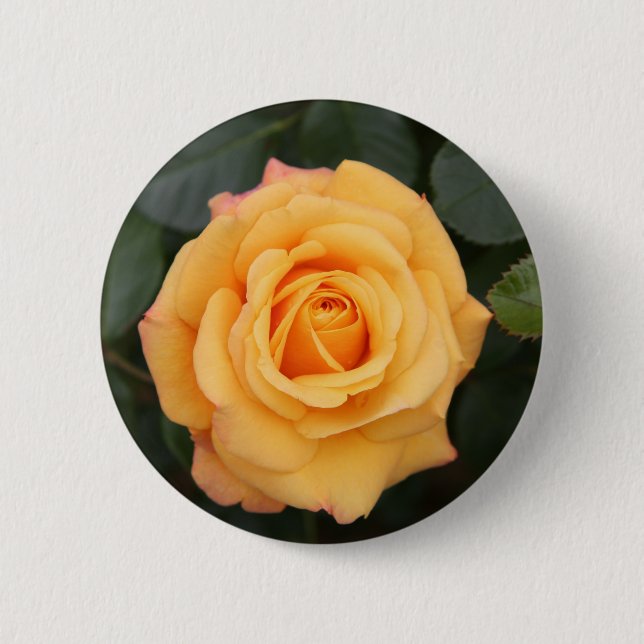 ro blommor, kärlek, maka, raring knapp (Framsida)
