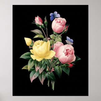 Ro bouquet Redoute - svart, dramatisk bakgrund Poster