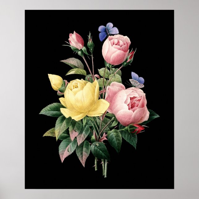 Ro bouquet Redoute - svart, dramatisk bakgrund Poster (Framsidan)