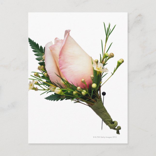 Ro Boutonniere Vykort (Framsida)
