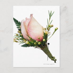 Ro Boutonniere Vykort