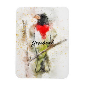 Ro-Brestat Grosbeak (Pheucticus ludovicianus) Magnet