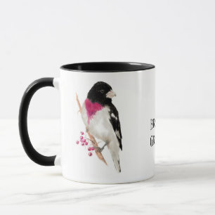 Ro Brested Grosbeak, Bird, Nature, Mugg
