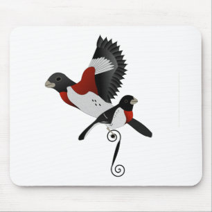 Ro Brested Grosbeak Cardinal Bird Musmatta