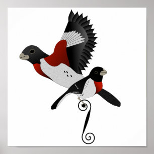 Ro Brested Grosbeak Cardinal Bird Poster