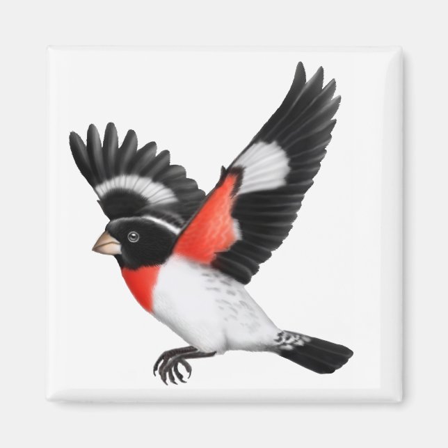 Ro Brested Grosbeak Vild Bird Magnet (Framsidan)