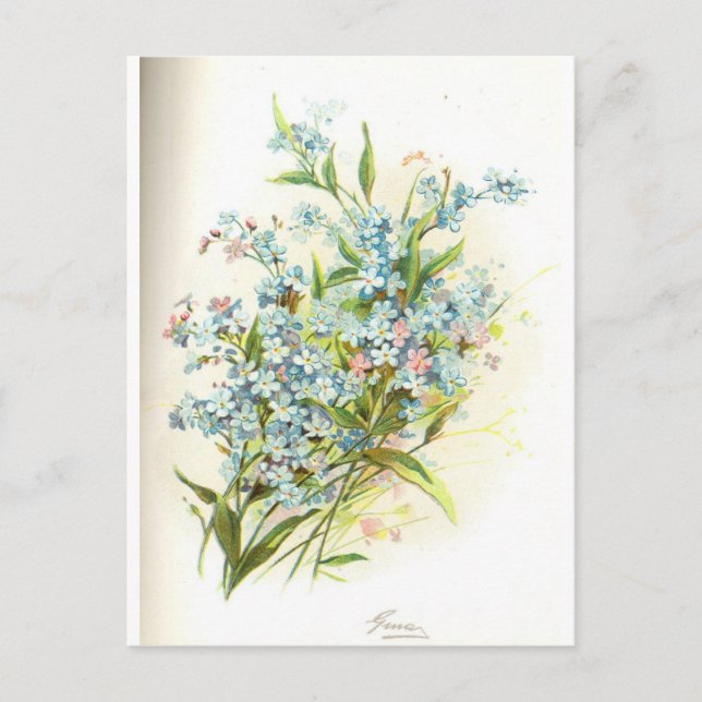 ro brier vykort (Framsida)