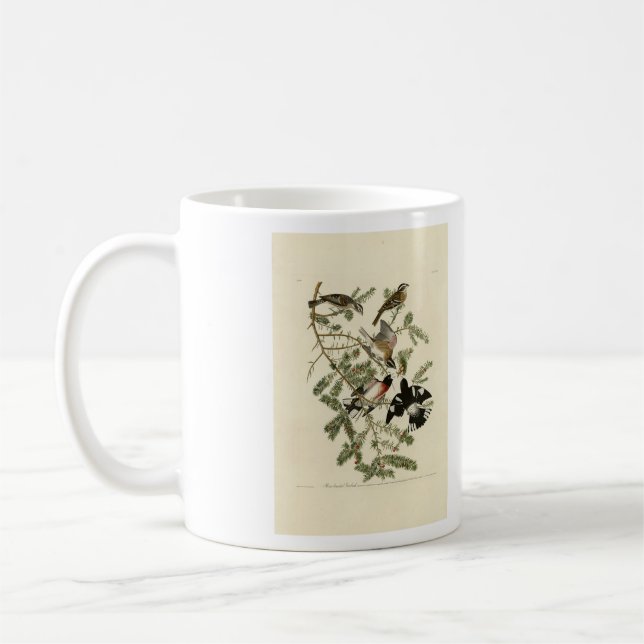 Ro-bröstad Grosbeak, Audubon's Birds of America Kaffemugg (Vänster)