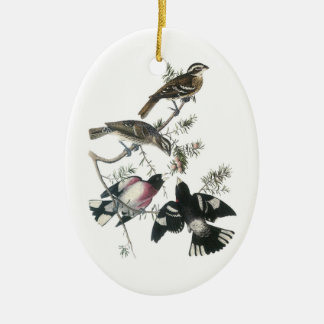 Ro-bröstad Grosbeak av Audubon Julgransprydnad Keramik