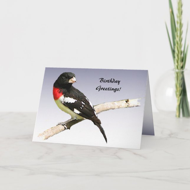 Ro-bröstad Grosbeak-födelsedag Kort (Framsida)