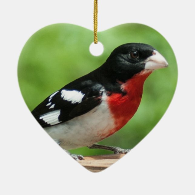 Ro-bröstad Grosbeak Julgransprydnad Keramik (Baksidan)