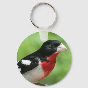 Ro-bröstad Grosbeak Nyckelring