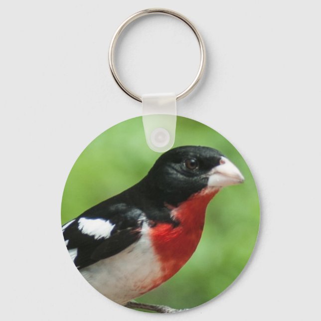 Ro-bröstad Grosbeak Nyckelring (Framsida)