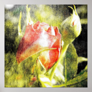 Ro Bud Poster