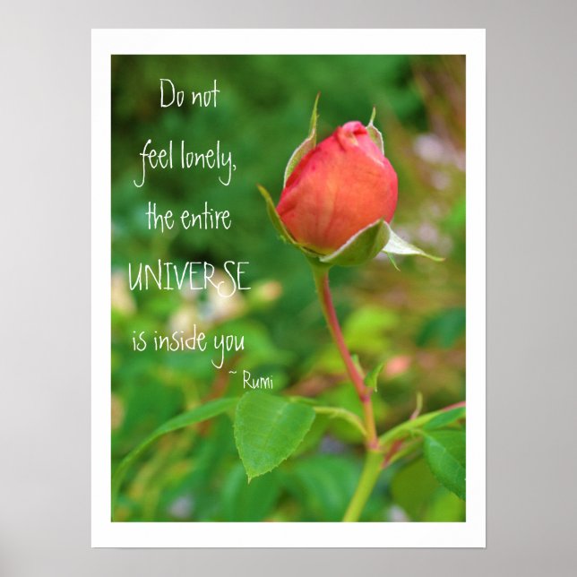 Ro Bud Rumi Quote Poster (Framsidan)