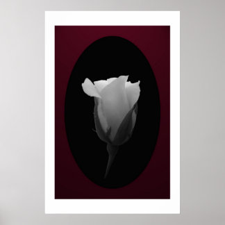 Ro Bud (svartvitt) Poster