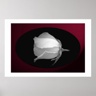 Ro Bud (svartvitt) Poster