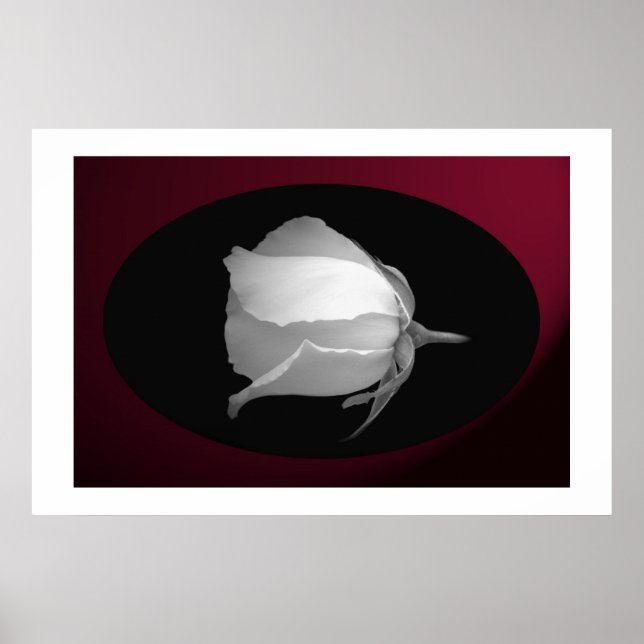 Ro Bud (svartvitt) Poster (Framsidan)