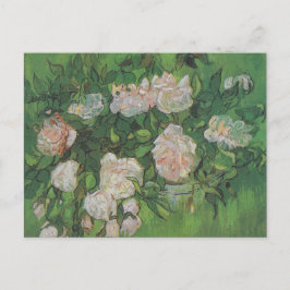 Ro Bush av Vincent Van Gogh Vykort