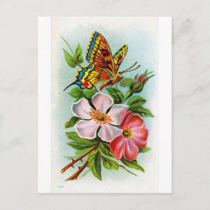 Ro & Butterfly Vykort