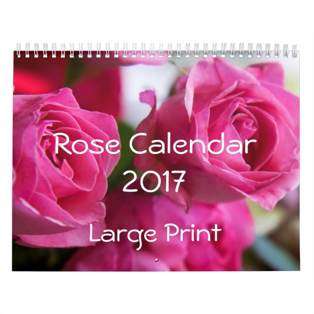 Ro Calendar 2017 Large Print Kalender (Omslag)