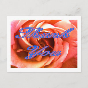 Ro Canterbury 4 Tack 1 MUSEUM Zazzle Gi Vykort