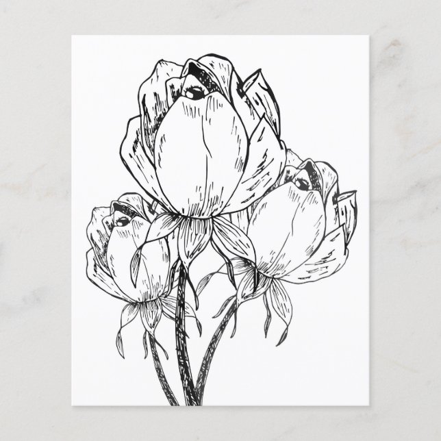 Ro Coloring Lakan (Framsida)