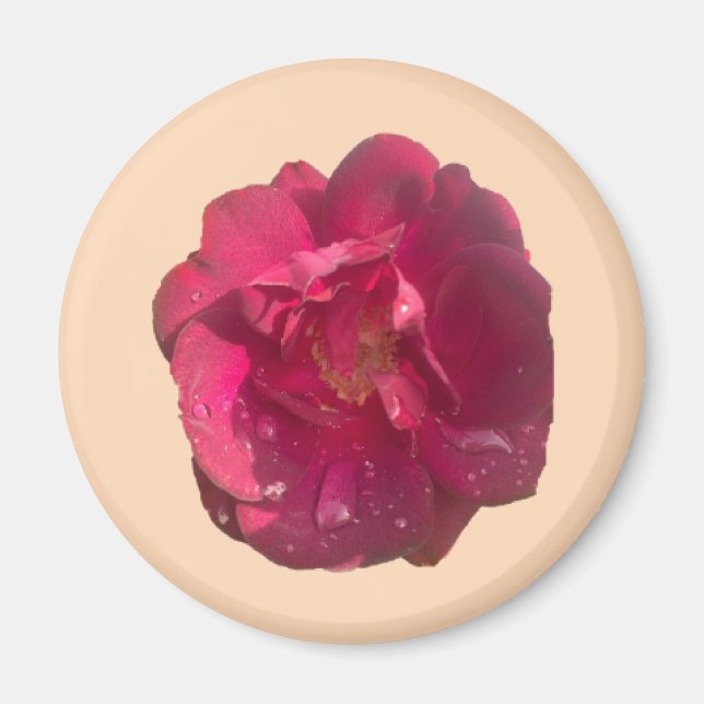 RO D MAGNET (Framsidan)