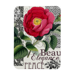 Ro Damask Söt Blommigt Antique Magnet