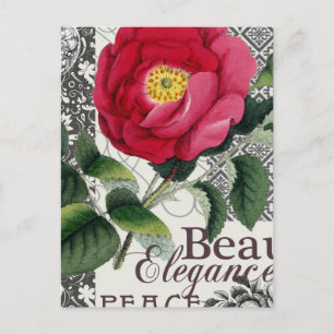 Ro Damask Söt Blommigt Antique Vykort